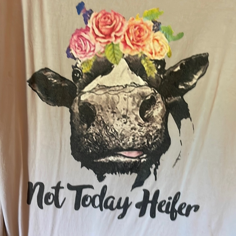 Not today heifer!